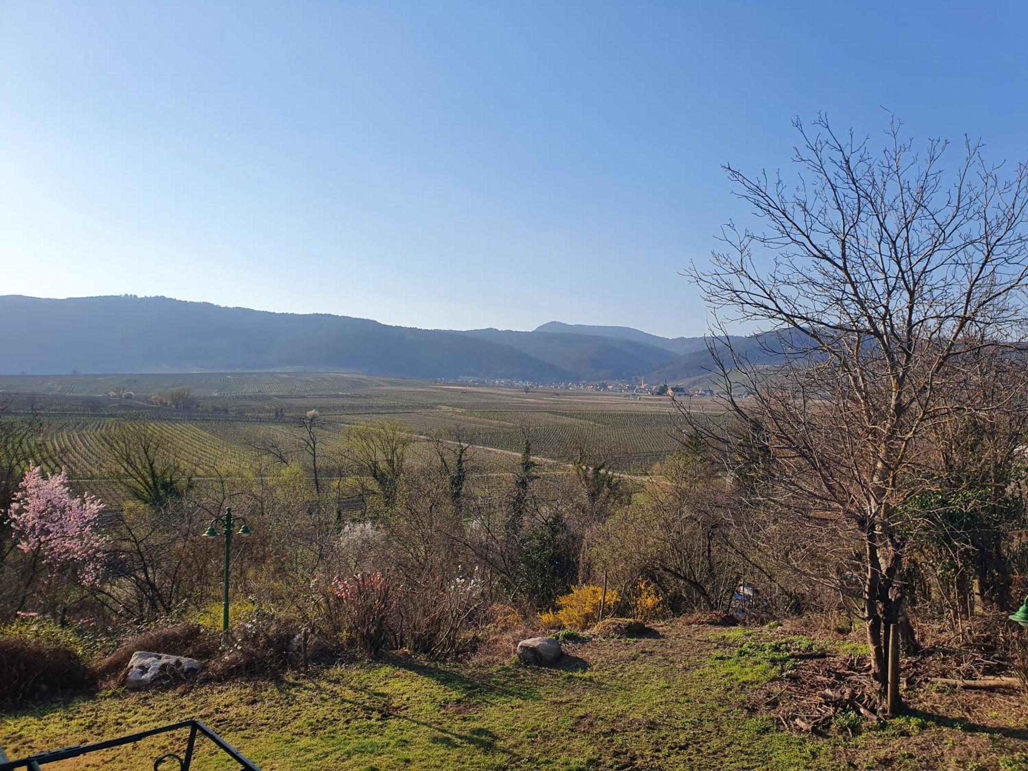 Appartement Kanzel Residences Beblenheim